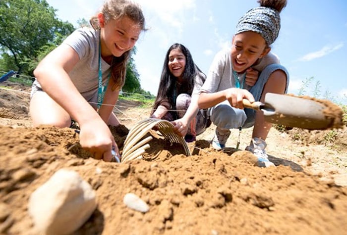 children into curiosity