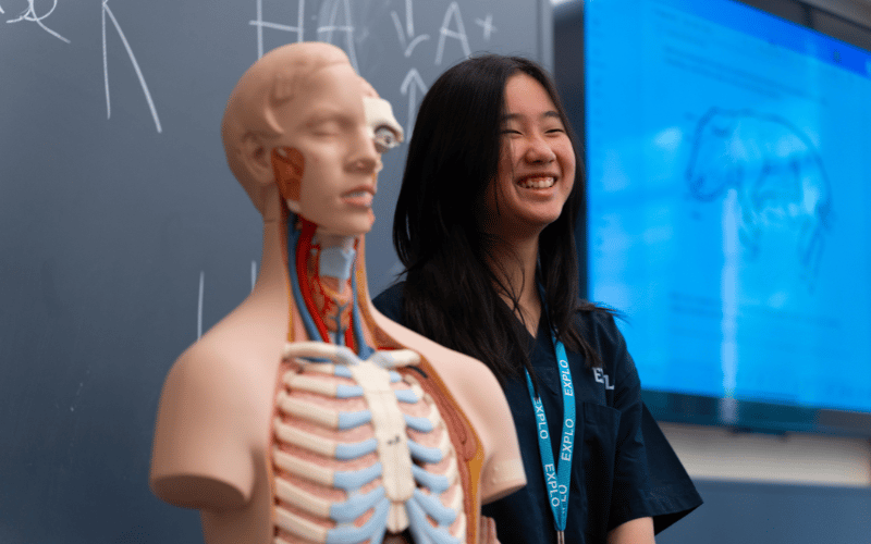 Medical Rotations