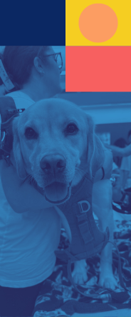 Visiting dog at Vet Science