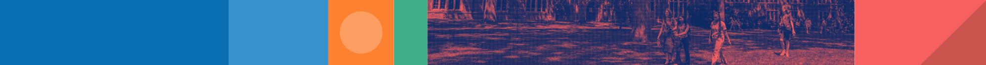 thin banner thin banner