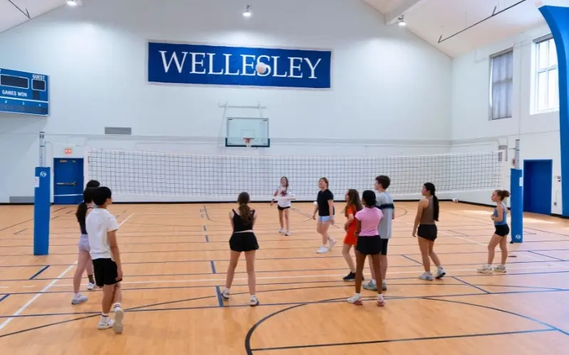 Volleyball Elective