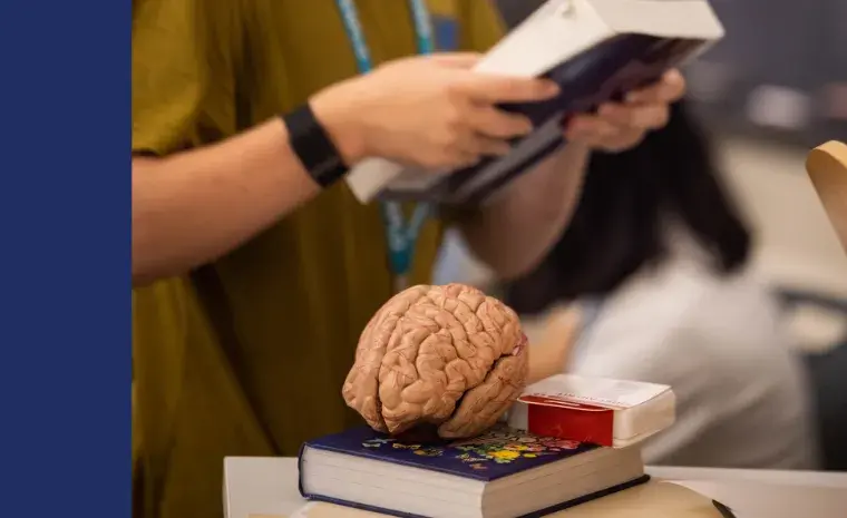 middle school behavior psychology