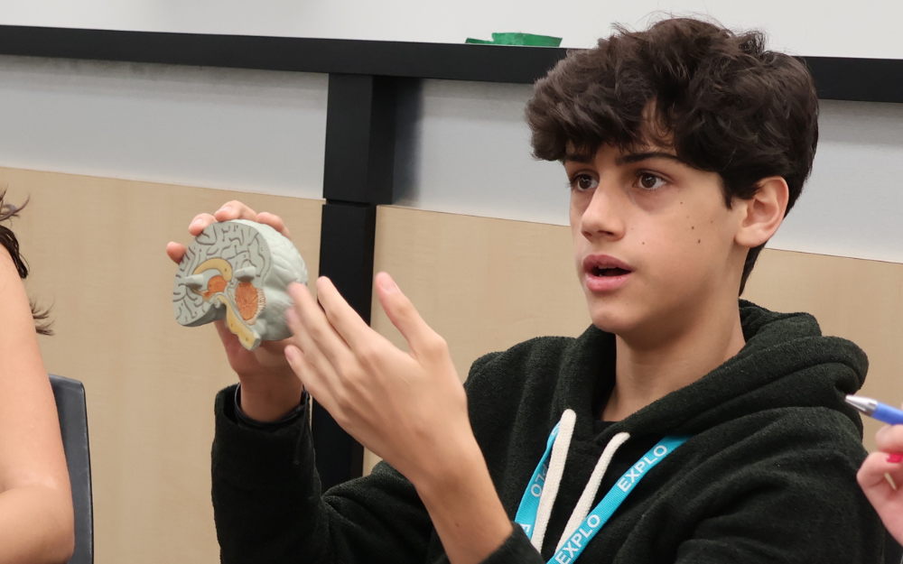 Brain psychology class