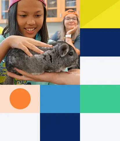 6-7-MainPage_VetSci_3x5_right 6-7-MainPage_VetSci_3x5_right