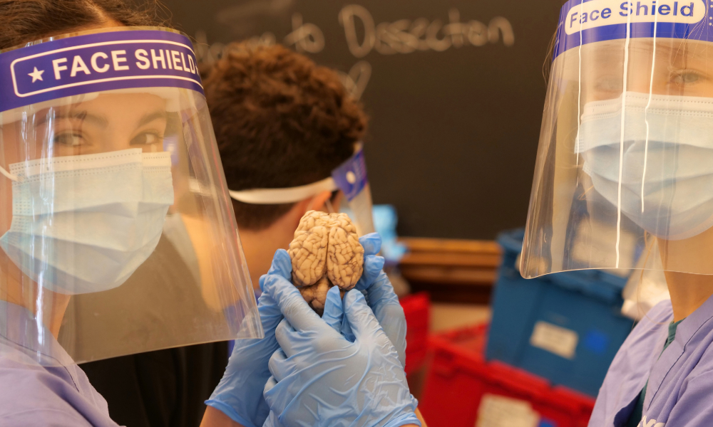 Neuroscience