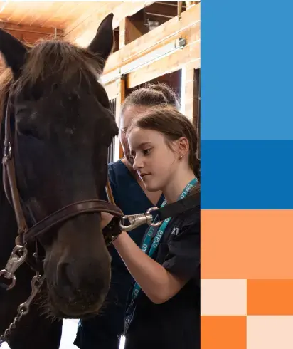 VetScience_Grid_LargeAnimalCare VetScience_Grid_LargeAnimalCare