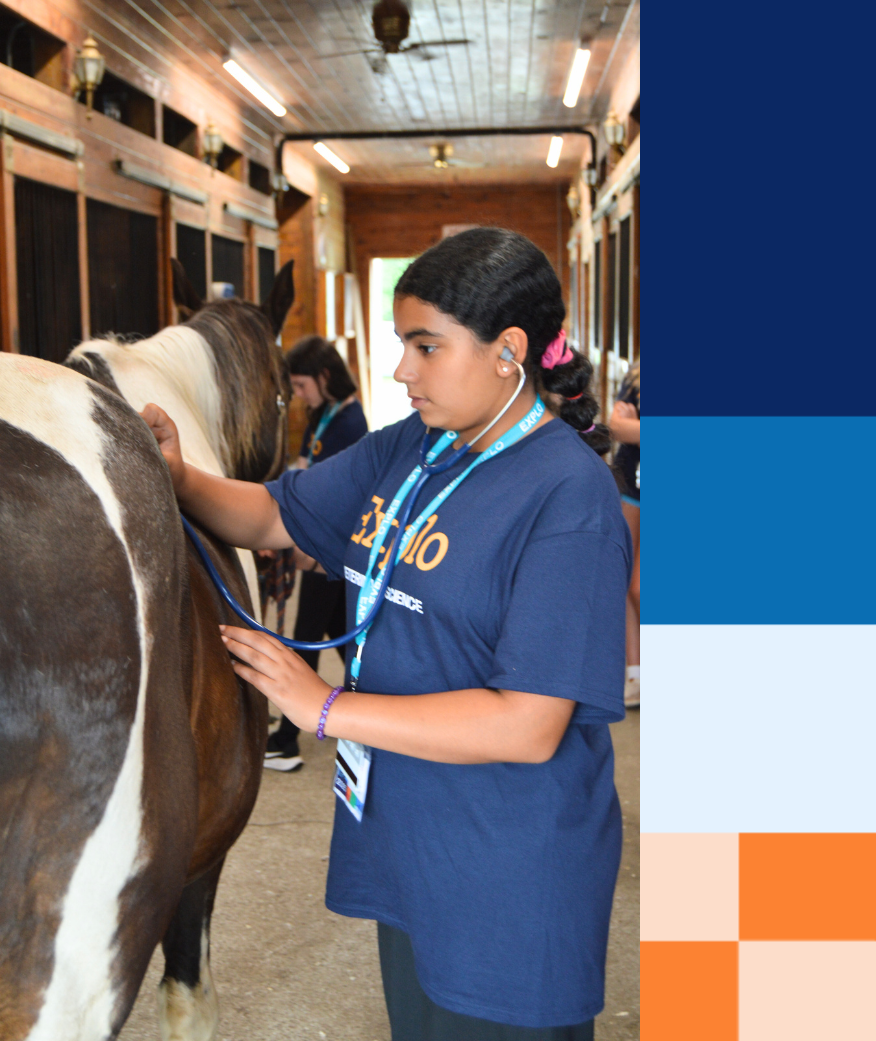 Veterinary Program Highlight 2 Veterinary Program Highlight 2