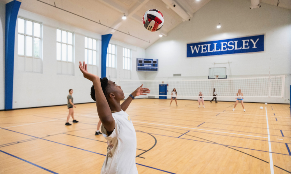 Volleyball