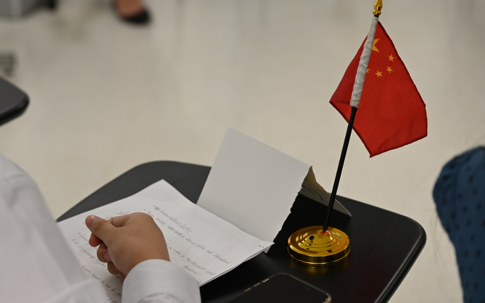 Government Simulation