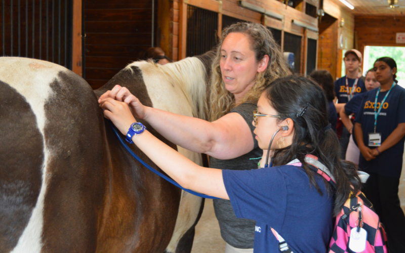 Experiential Learning